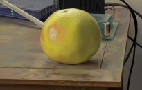 Grapefruit01